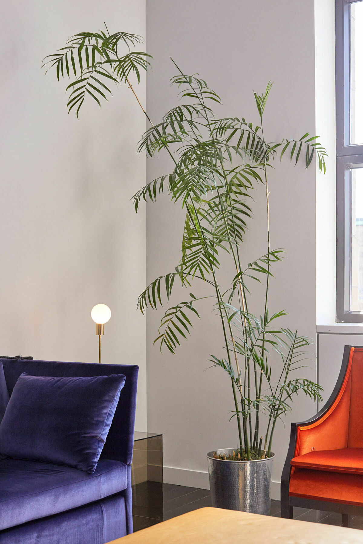Hotel St Paul, Montreal, A Member Of Design Hotels Інтер'єр фото